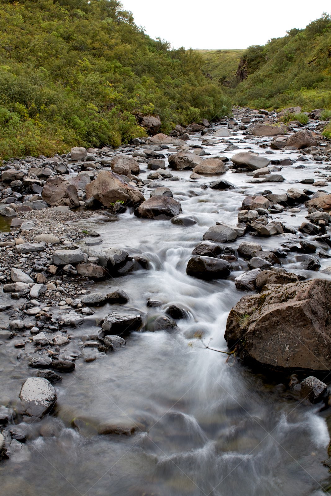 Stream from Svartifoss