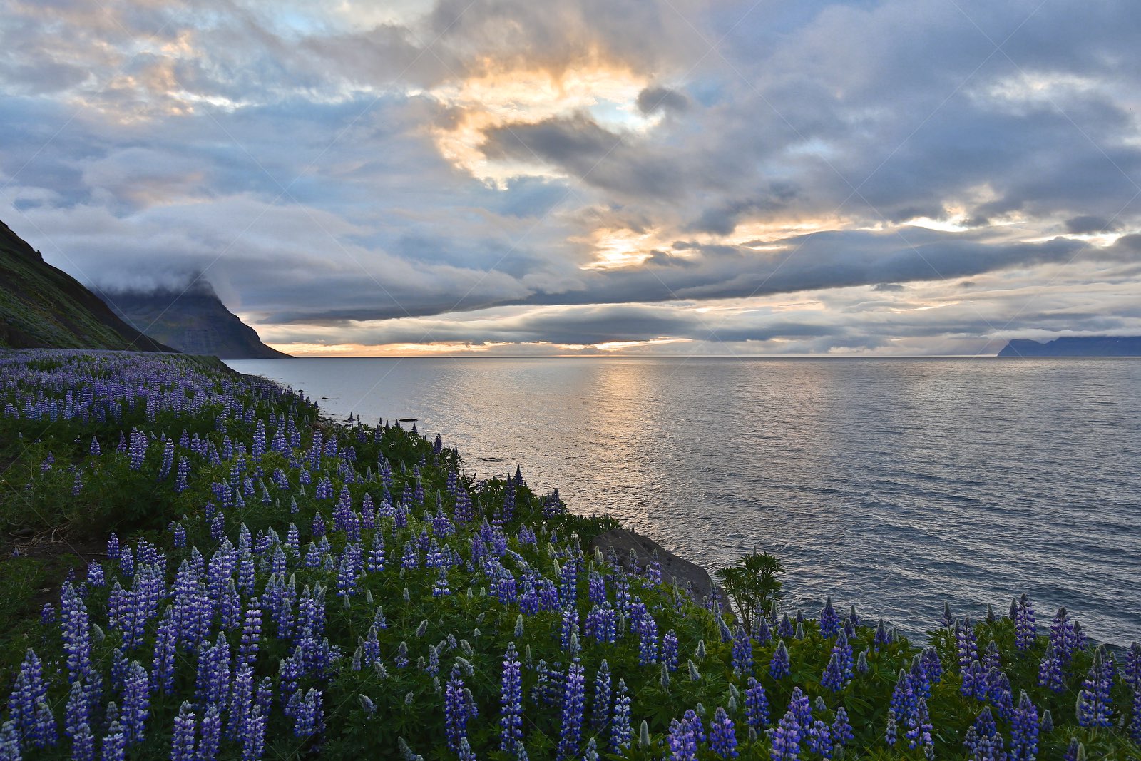 Westfjords sunset