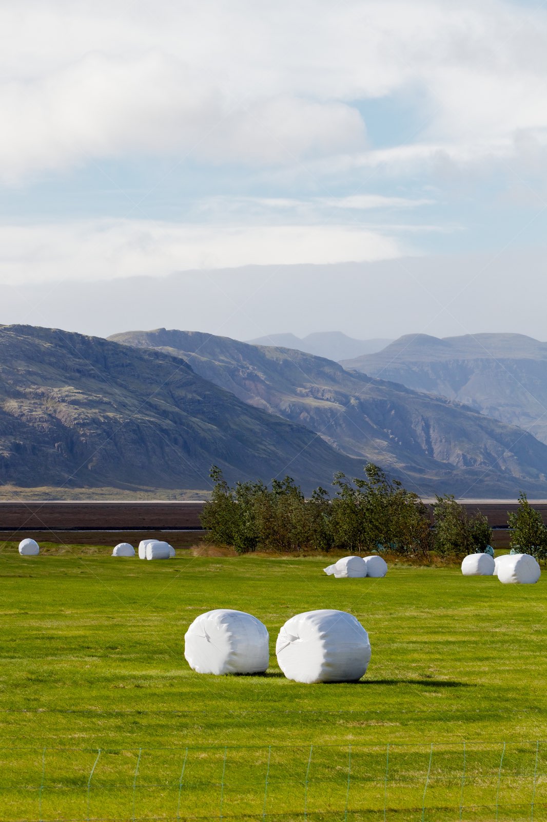 Wrapped hay bales on green field with mountain backdrop