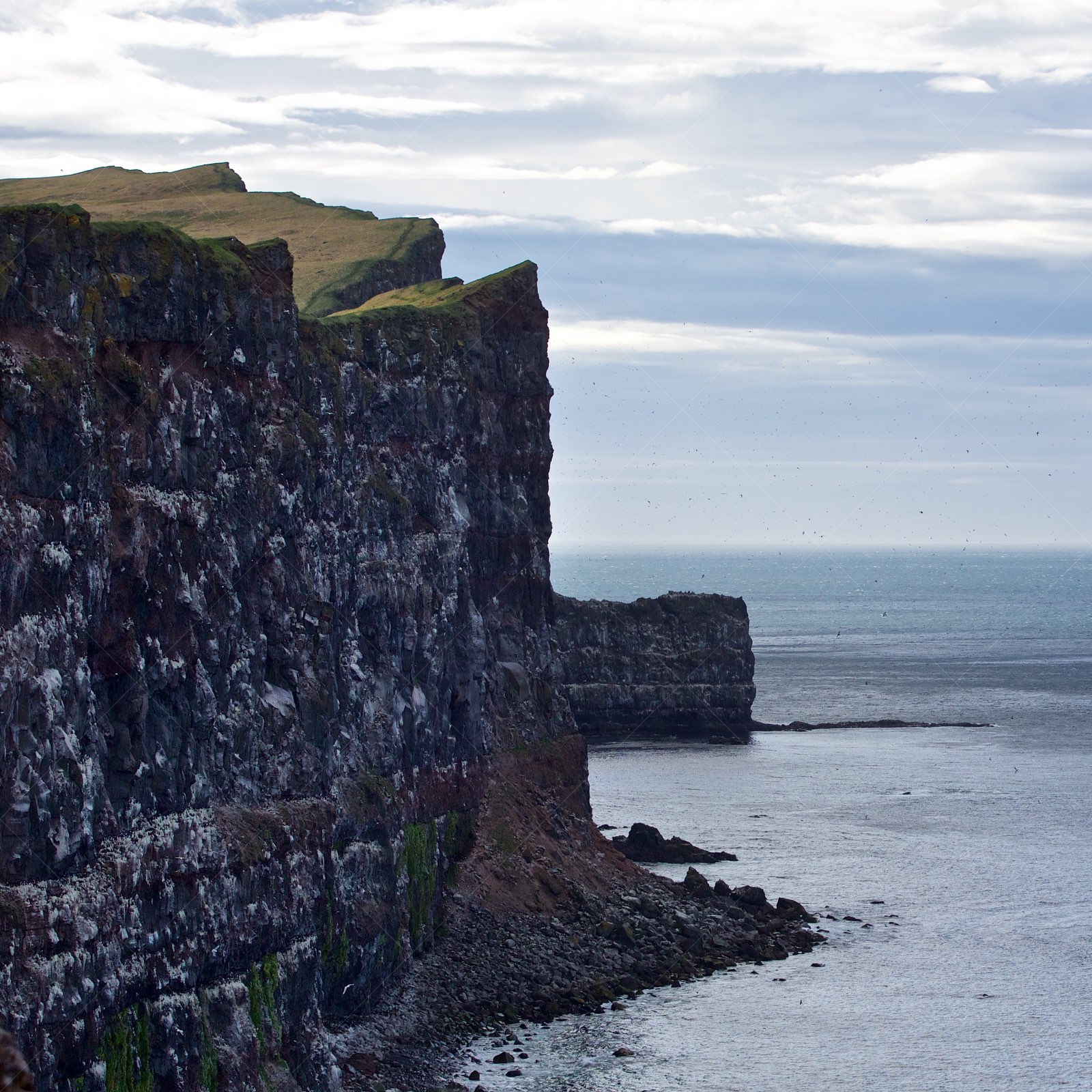 Látrabjarg coastline