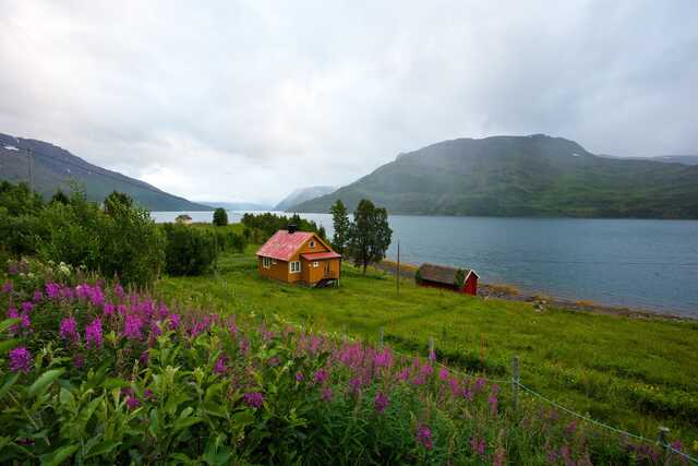 House by Norwegian fjord with wildflowers and mountains