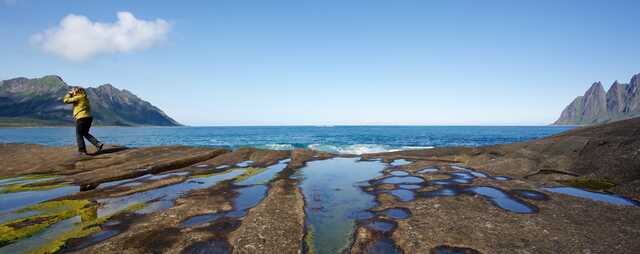 Person Exploring Rocky Shoreline at Senja Norway